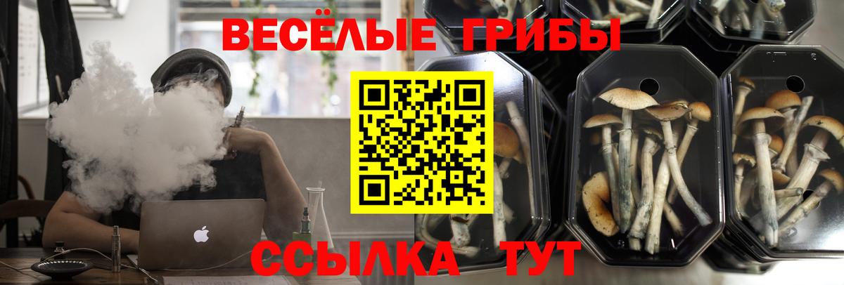 Галлюциногенные грибы мицелий  Галлюциногенные грибы MAGIC MUSHROOMS  Красноярск  Вход с VPN 